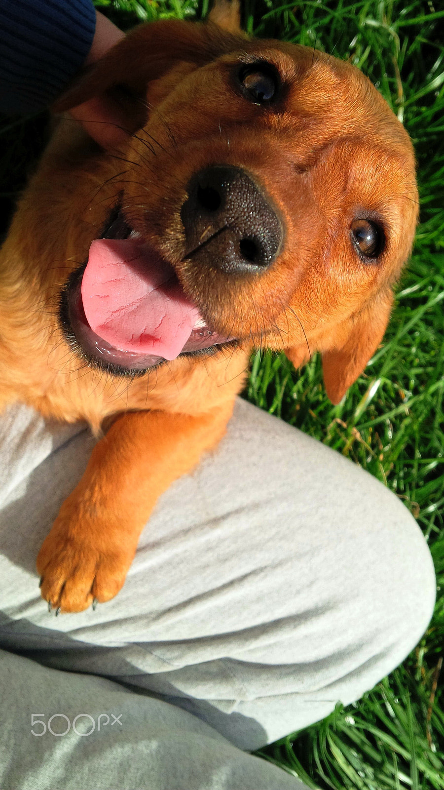 BlackBerry Z10 sample photo. Happiness photography