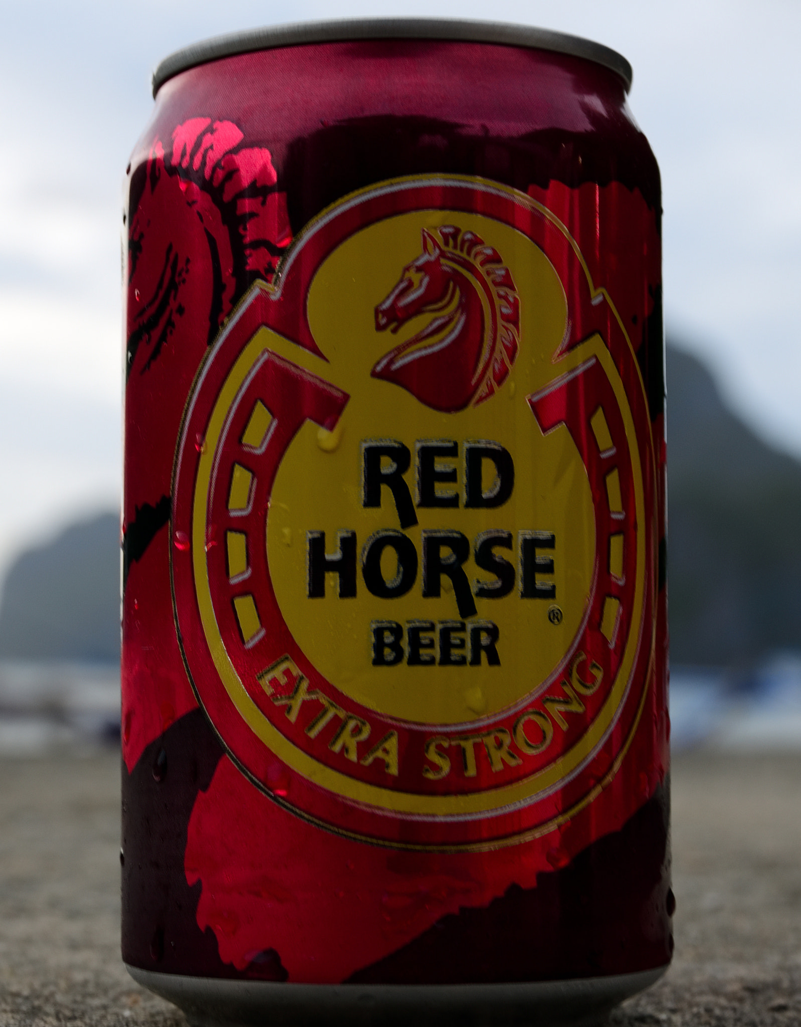 Sigma 17-70mm F2.8-4 DC Macro OS HSM | C sample photo. Bokeh photography