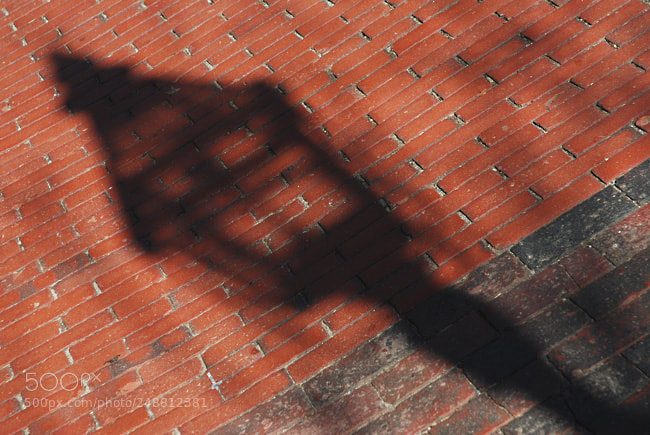 Nikon D60 sample photo. Td photography