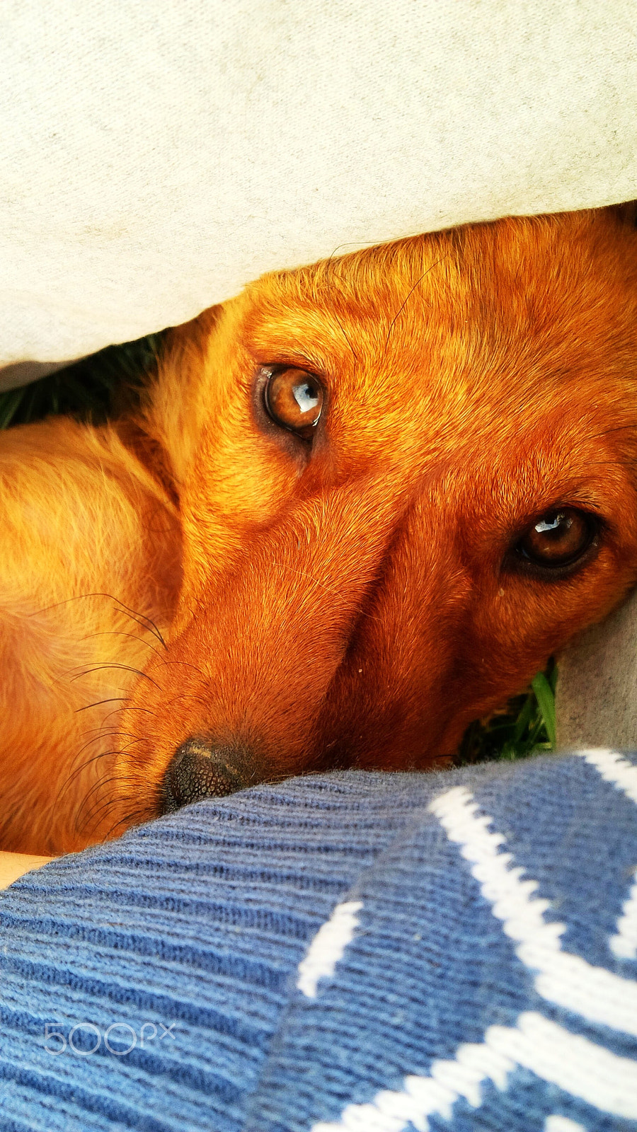 BlackBerry Z10 sample photo. Storytelling eyes photography
