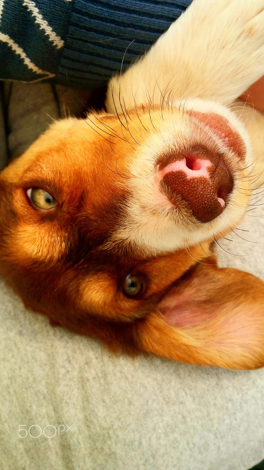 BlackBerry Z10 sample photo. Storytelling eyes photography