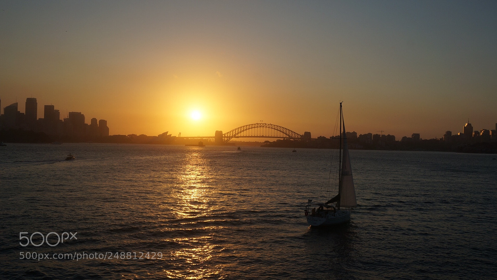 Sony Alpha NEX-5R sample photo. Sydney photography