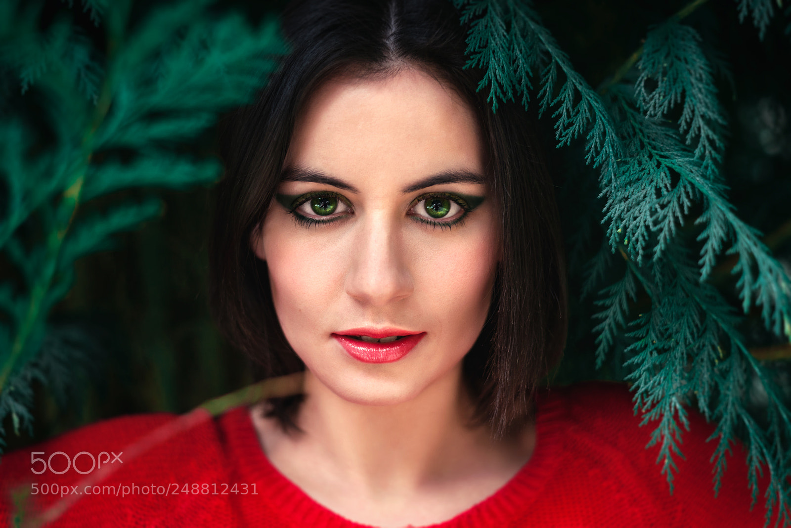 Nikon D810 sample photo. Green eyes photography