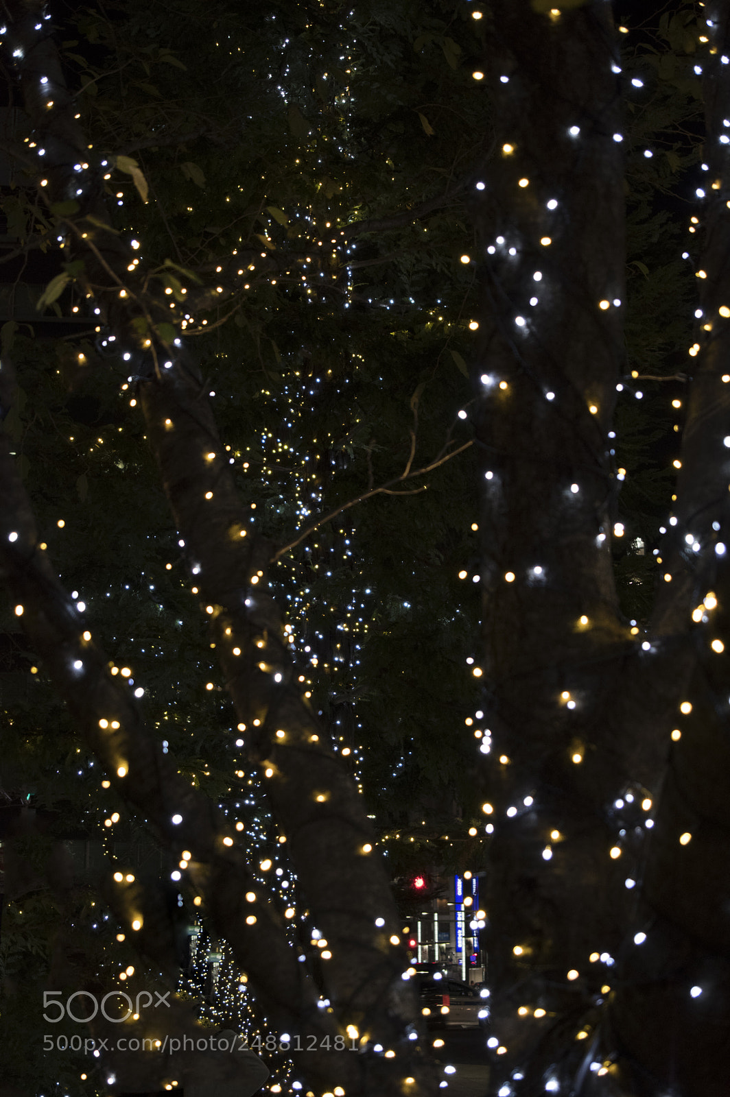 Pentax KP sample photo. Night lights at ginza photography
