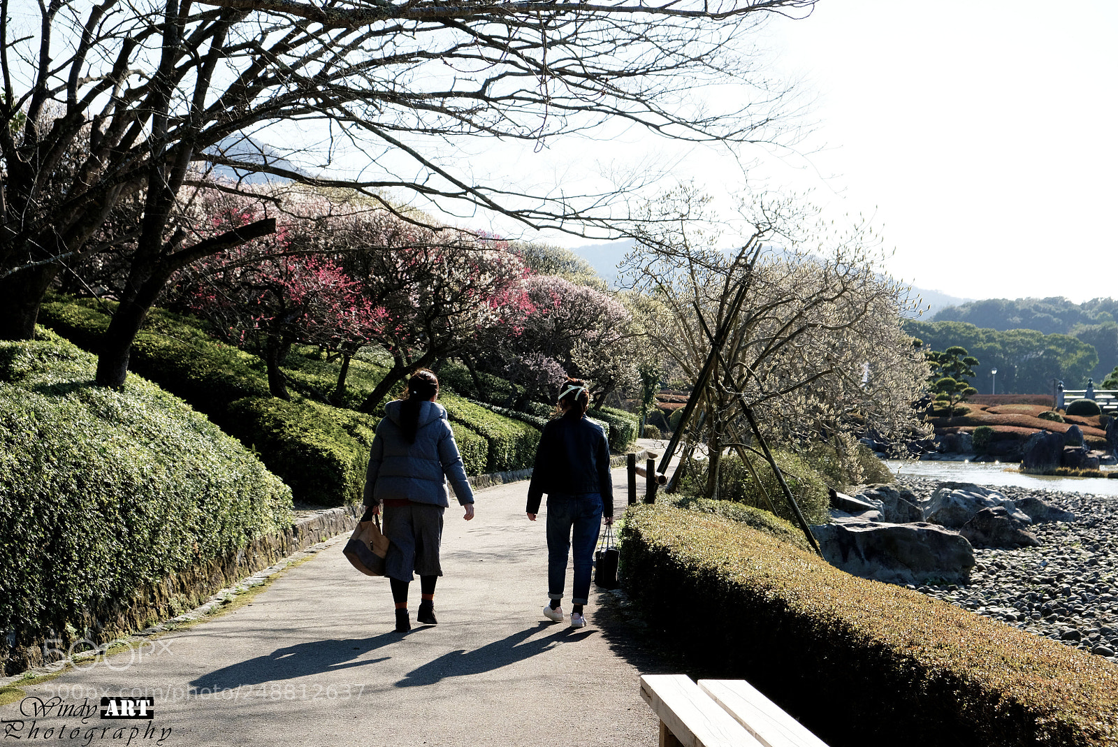 Fujifilm X-T20 sample photo. Old friend photography