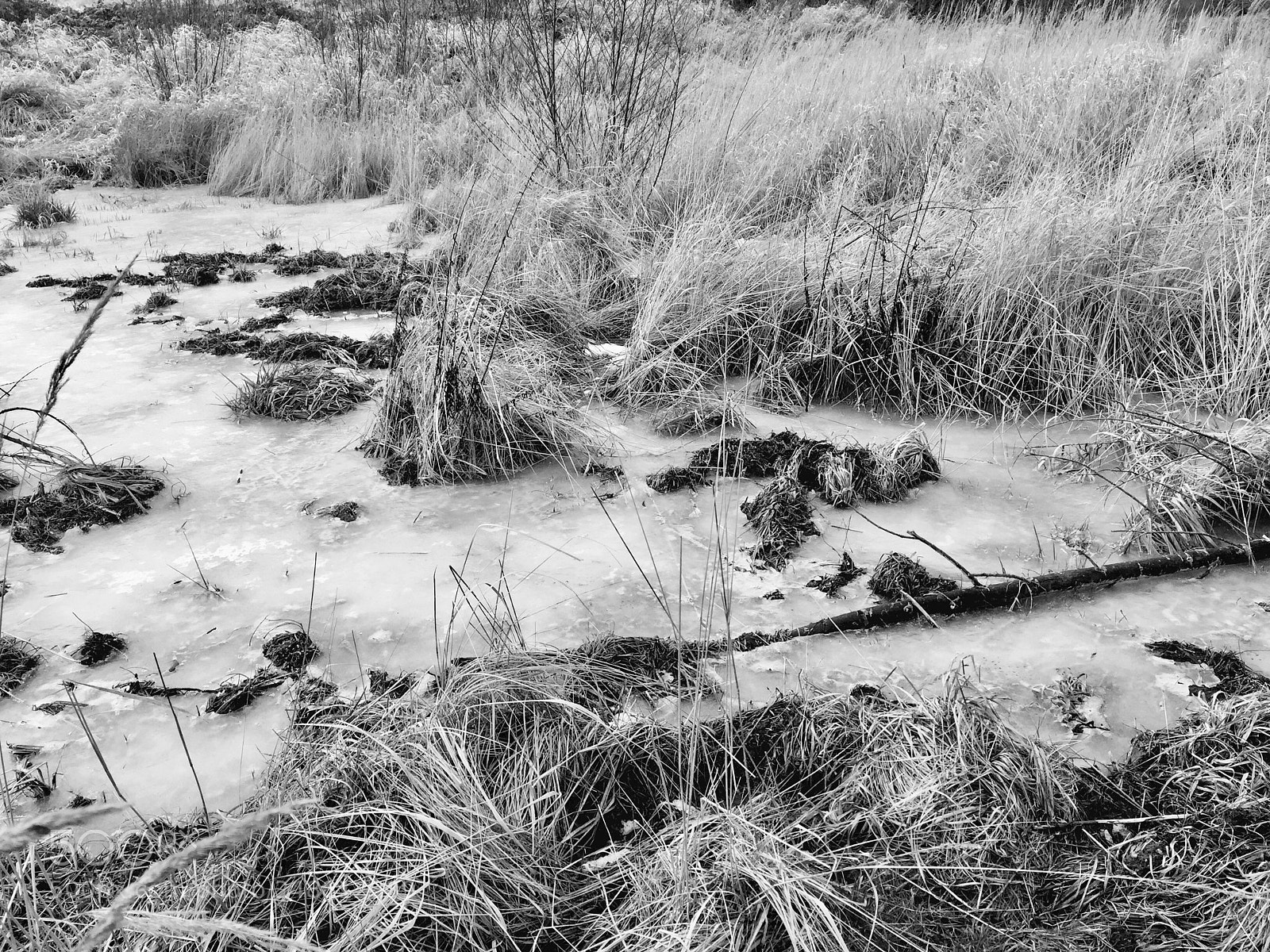 Apple iPhone 6 sample photo. Winter photography
