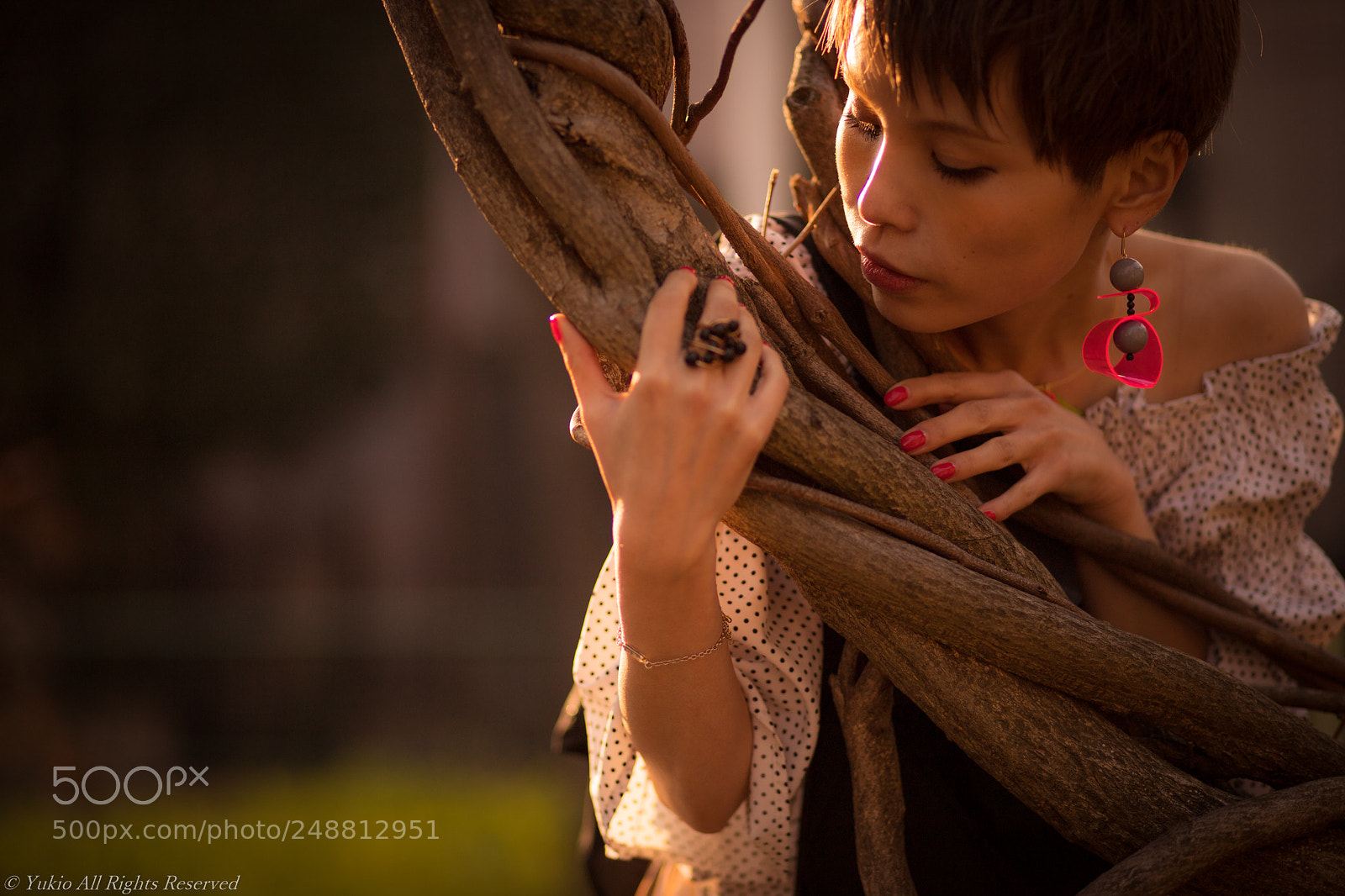Canon EOS 6D Mark II sample photo. Untitled photography