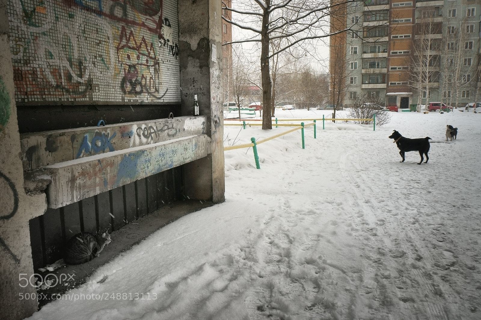 Sony Alpha NEX-5T sample photo. *** photography