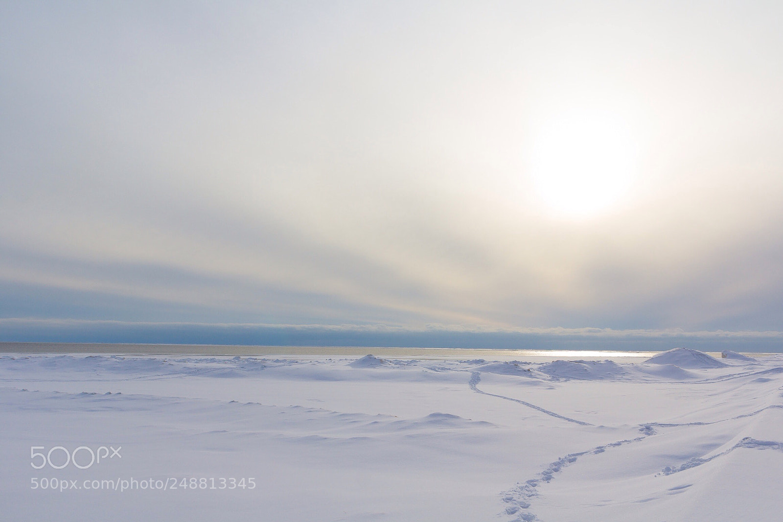 Canon EOS 60D sample photo. Warm winter light photography