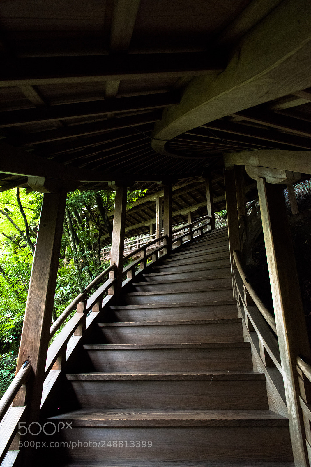 Nikon D810 sample photo. The silence photography