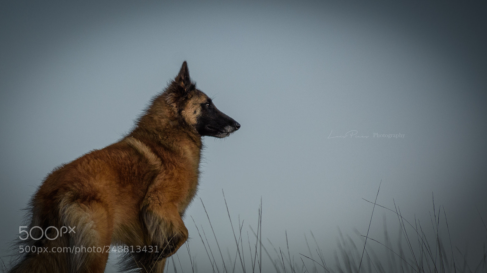 Nikon D7200 sample photo. Arya my ladie. photography