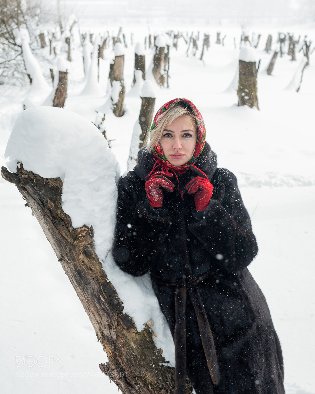 Nikon D800E sample photo. Alenushka photography
