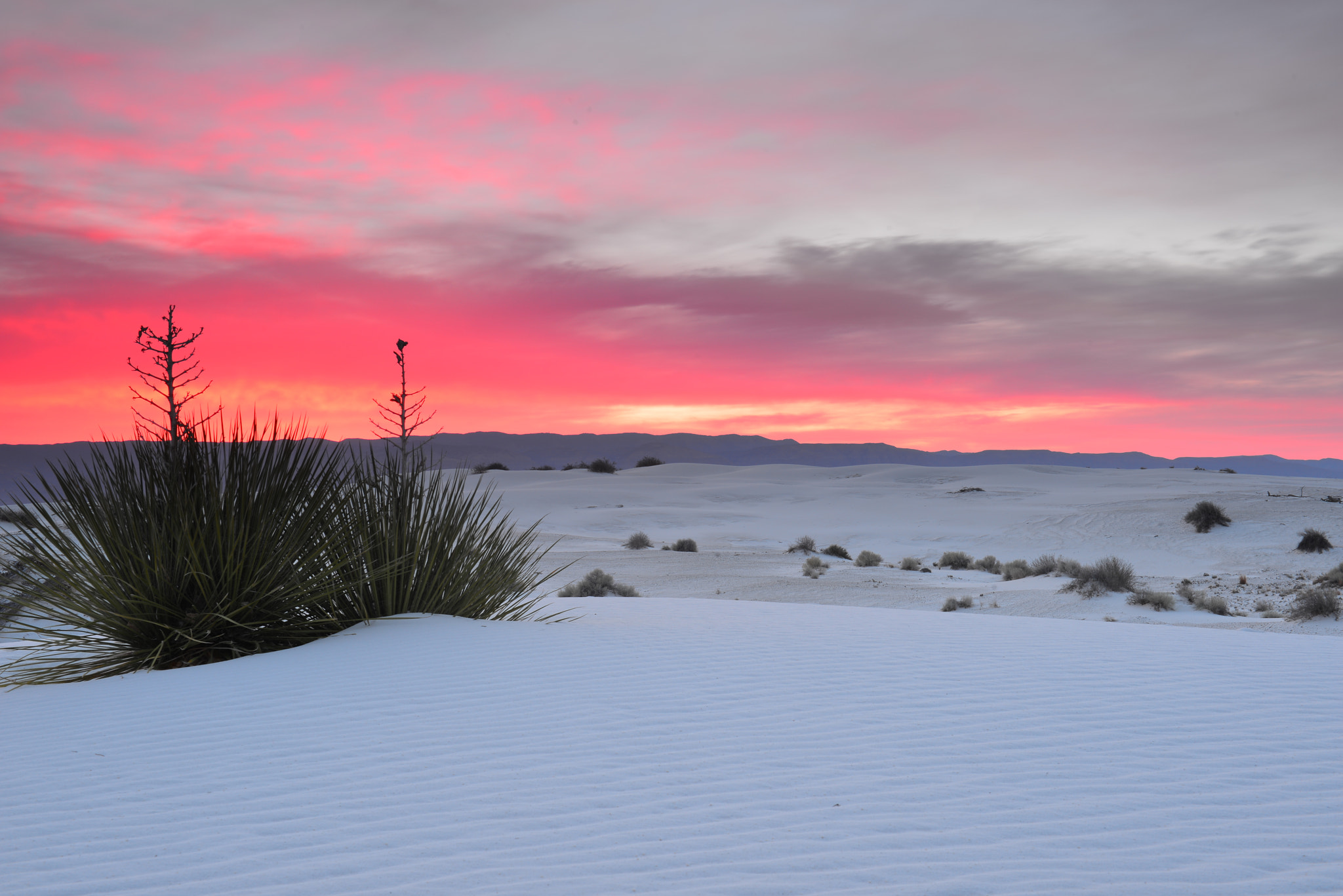 Nikon AF-S Nikkor 24-70mm F2.8G ED sample photo. Pink sky at white sands photography