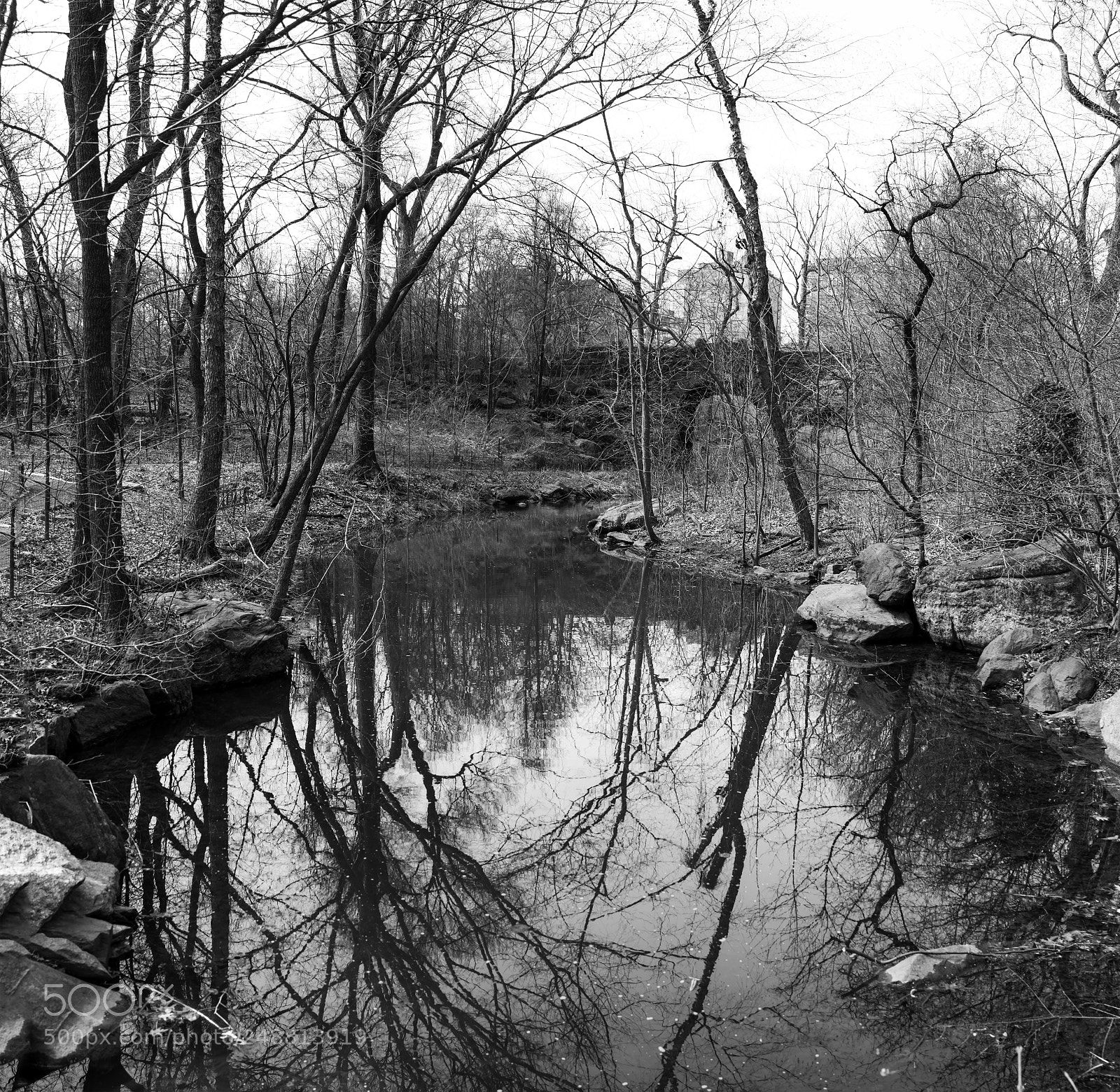 Sony Cyber-shot DSC-RX1R II sample photo. Central park ravine photography