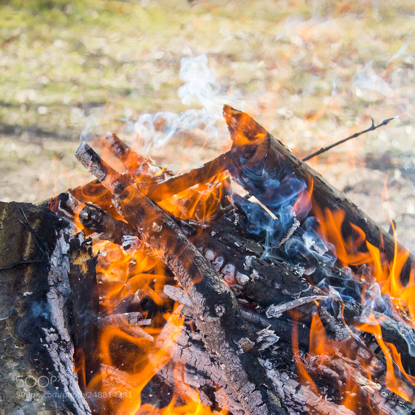 Canon EOS 600D (Rebel EOS T3i / EOS Kiss X5) sample photo. Smoke photography