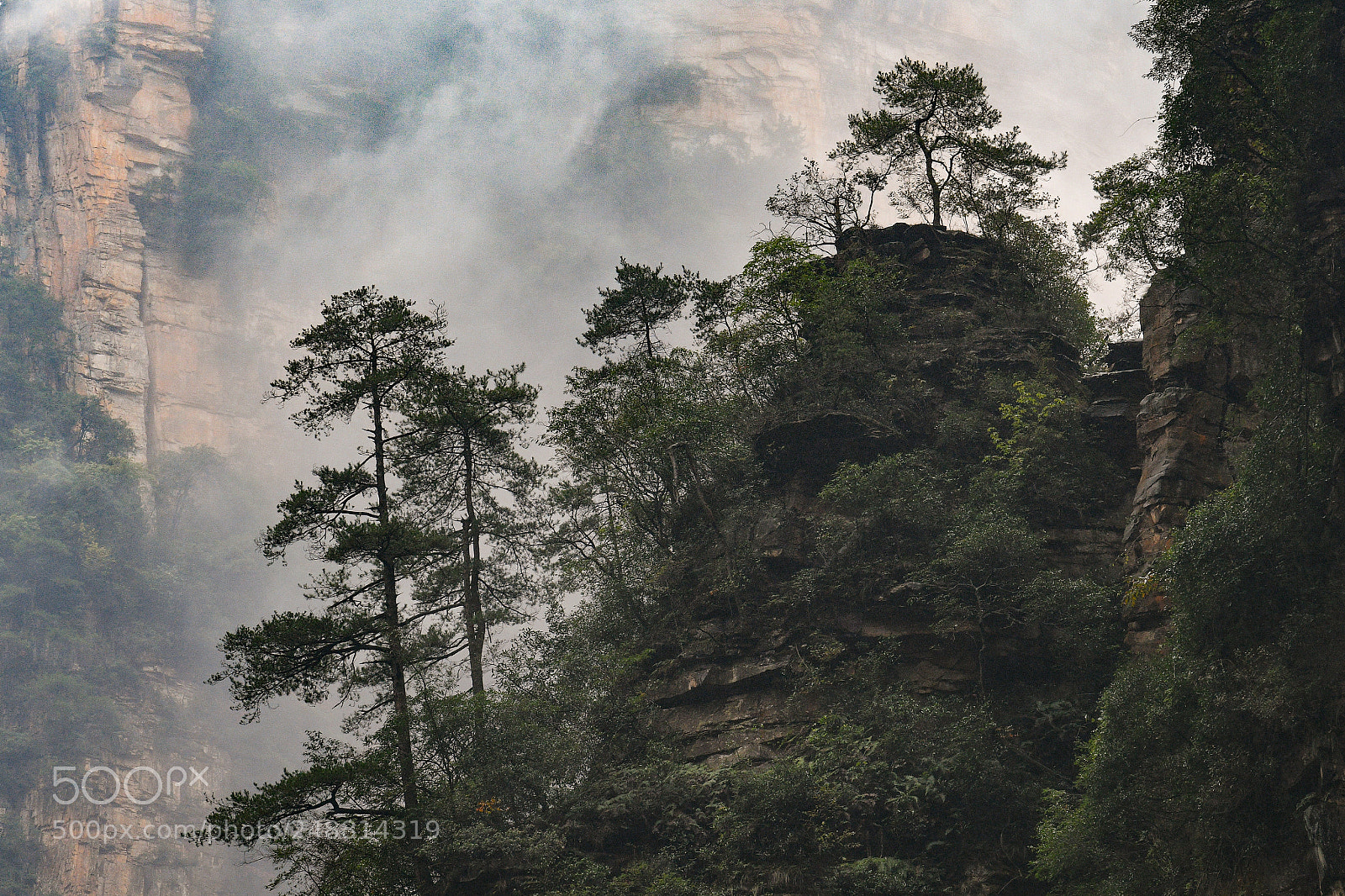 Nikon D500 sample photo. Zhangjiajie goldenwhipstream photography