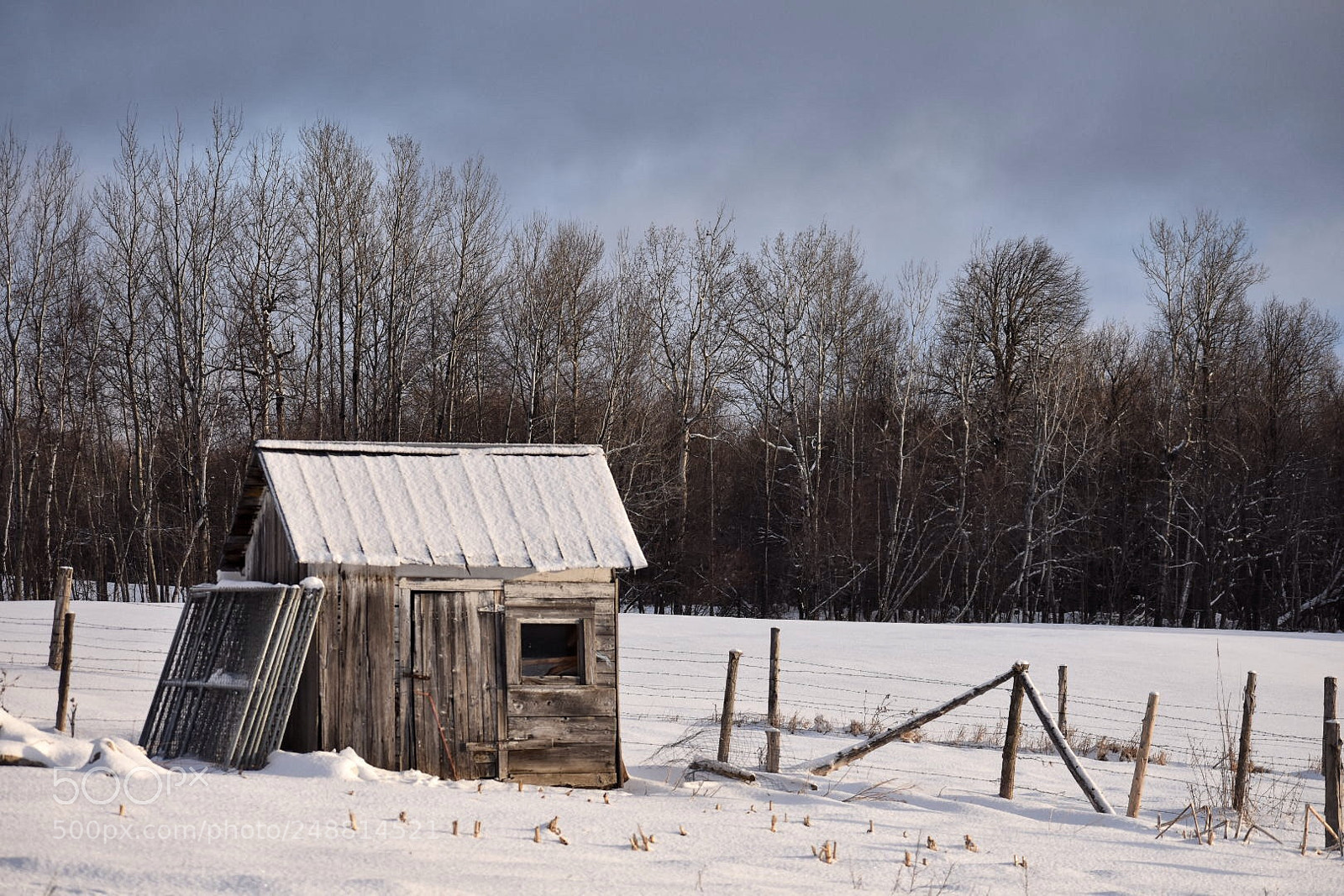 Nikon D3400 sample photo. Untitled photography