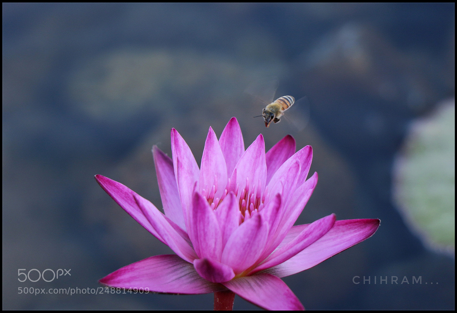 Canon EOS 7D Mark II sample photo. Untitled photography