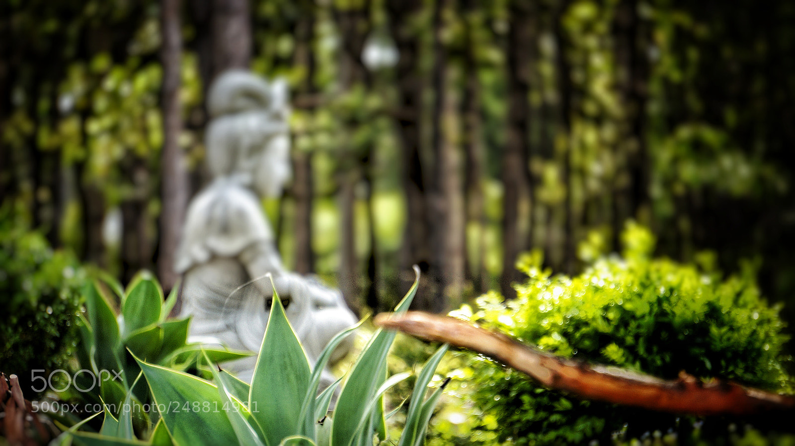 Sony Alpha NEX-5N sample photo. Untitled photography