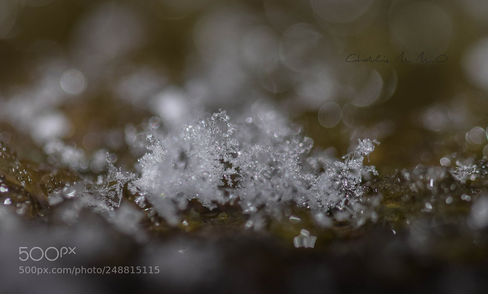 Nikon D3300 sample photo. 03-0379.jpg photography