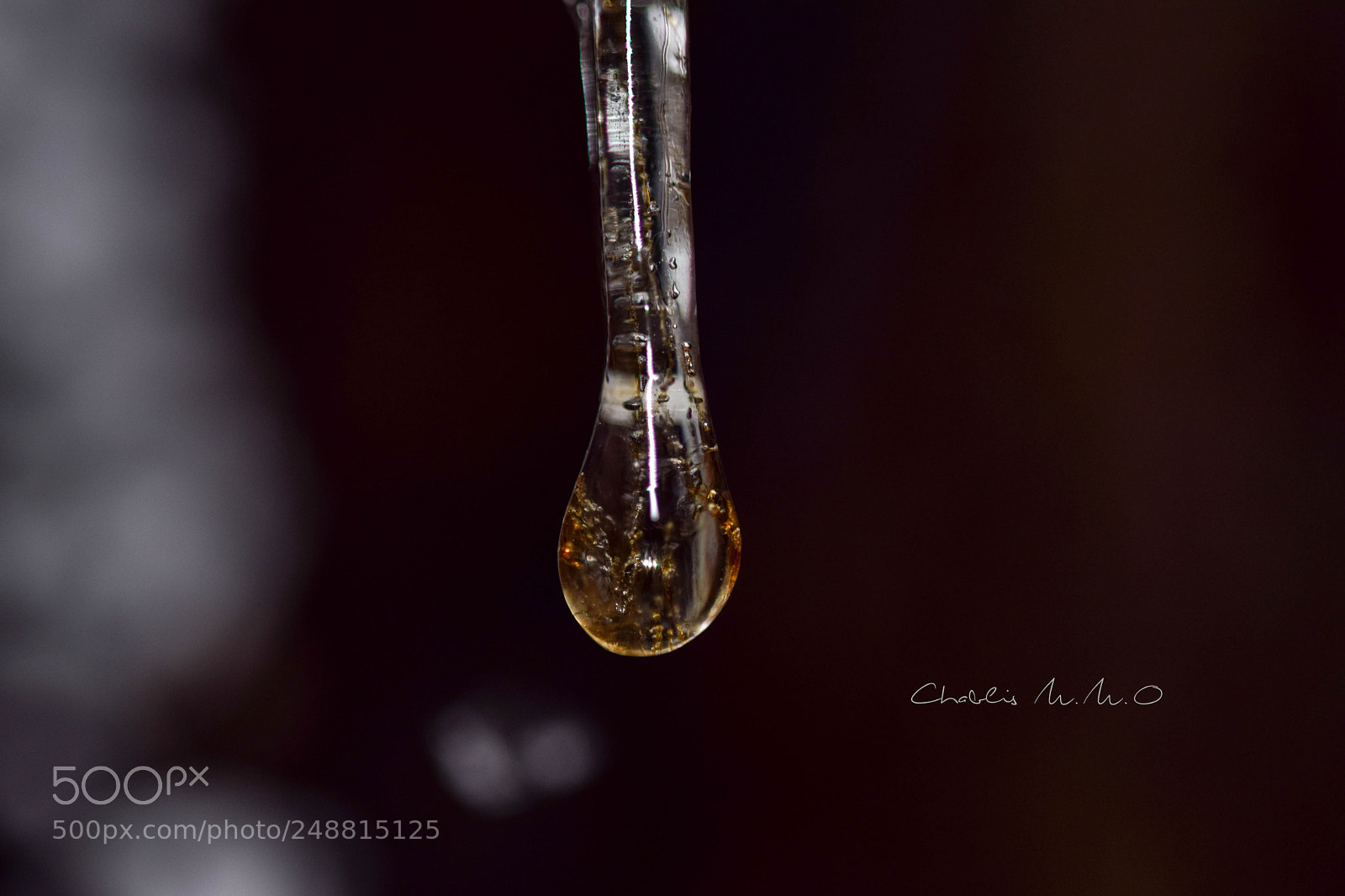 Nikon D3300 sample photo. 03-0406.jpg photography