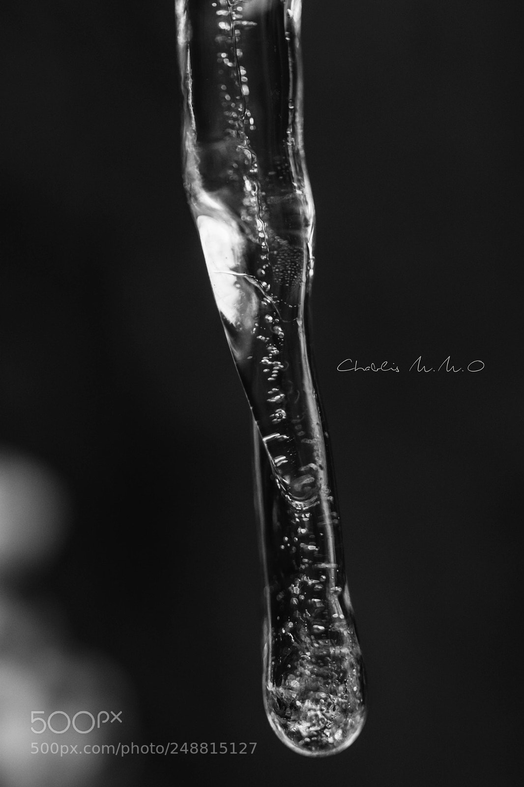 Nikon D3300 sample photo. 03-0388.jpg photography