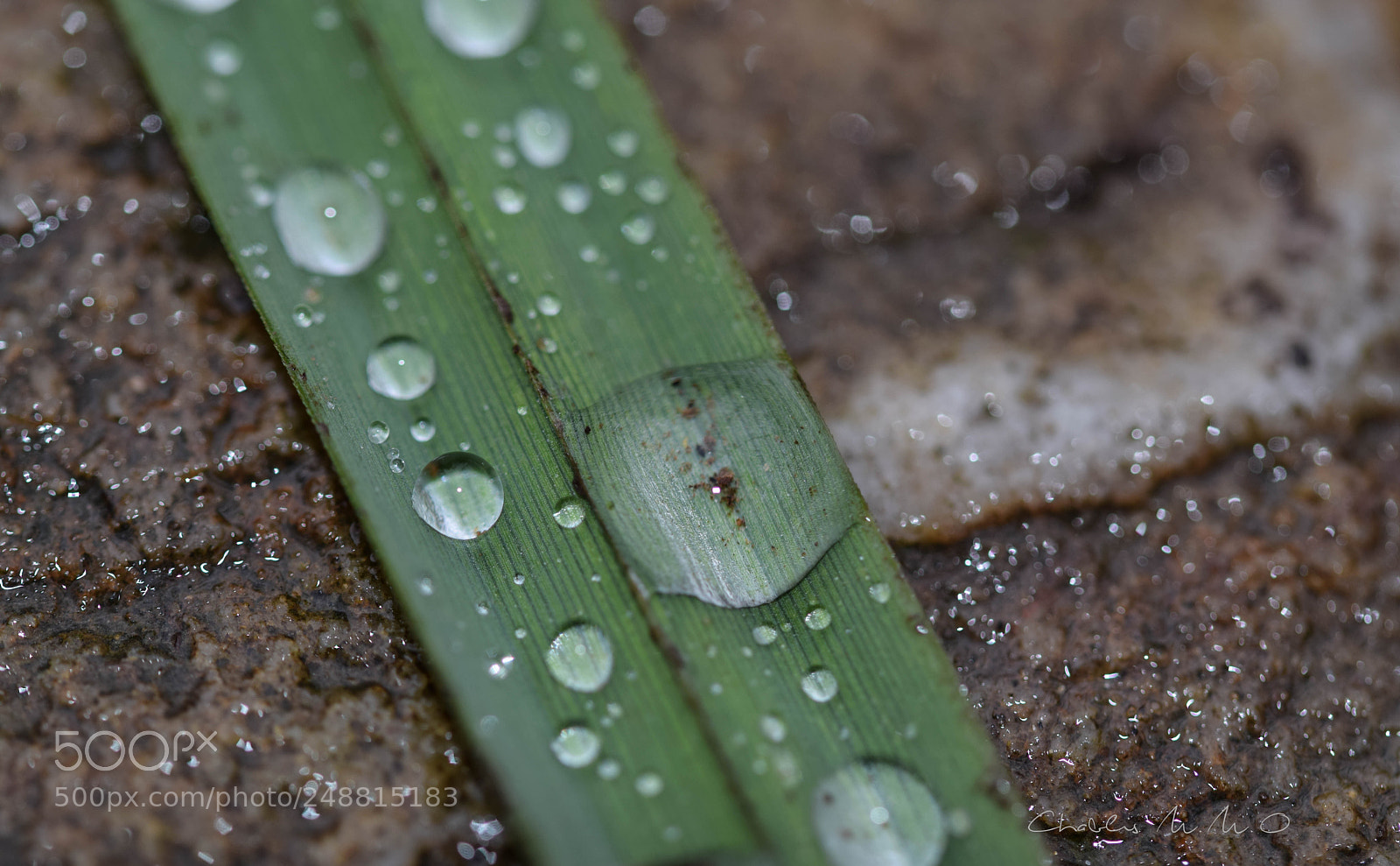 Nikon D3300 sample photo. 03-0550.jpg photography