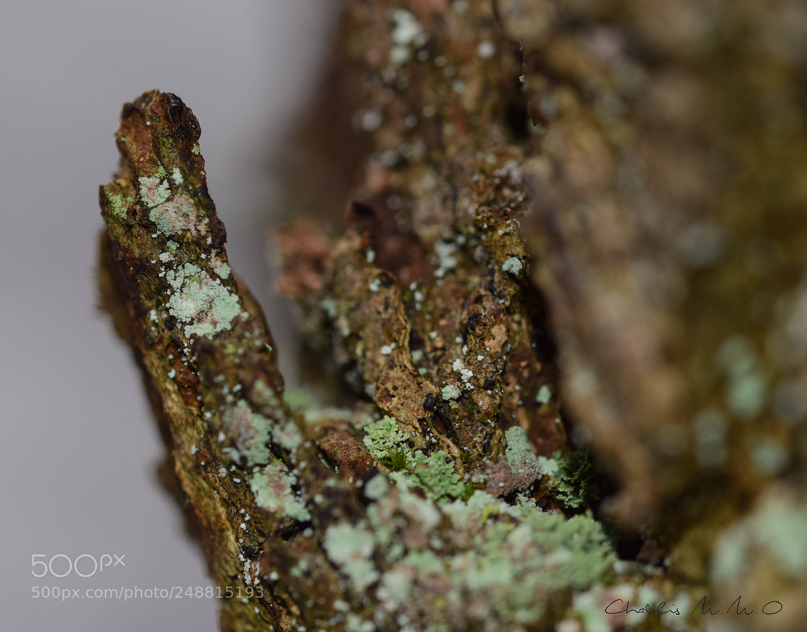 Nikon D3300 sample photo. 03-0536.jpg photography