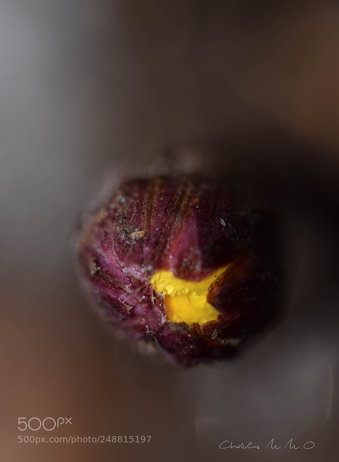 Nikon D3300 sample photo. 03-0578.jpg photography