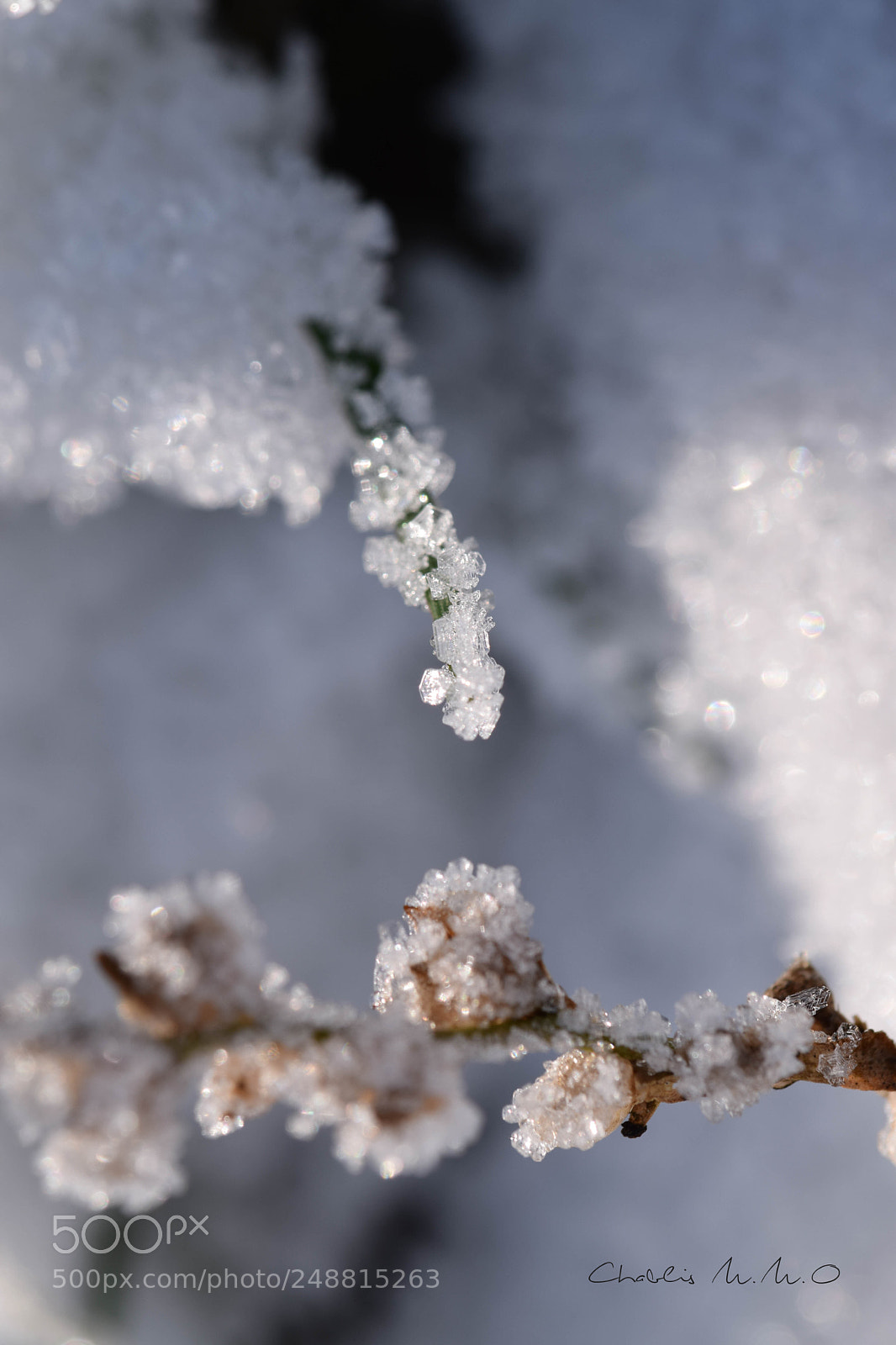 Nikon D3300 sample photo. 03-0027.jpg photography