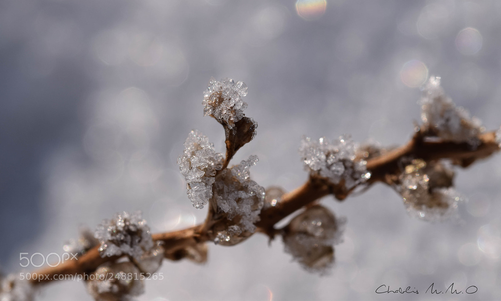 Nikon D3300 sample photo. 03-0020.jpg photography