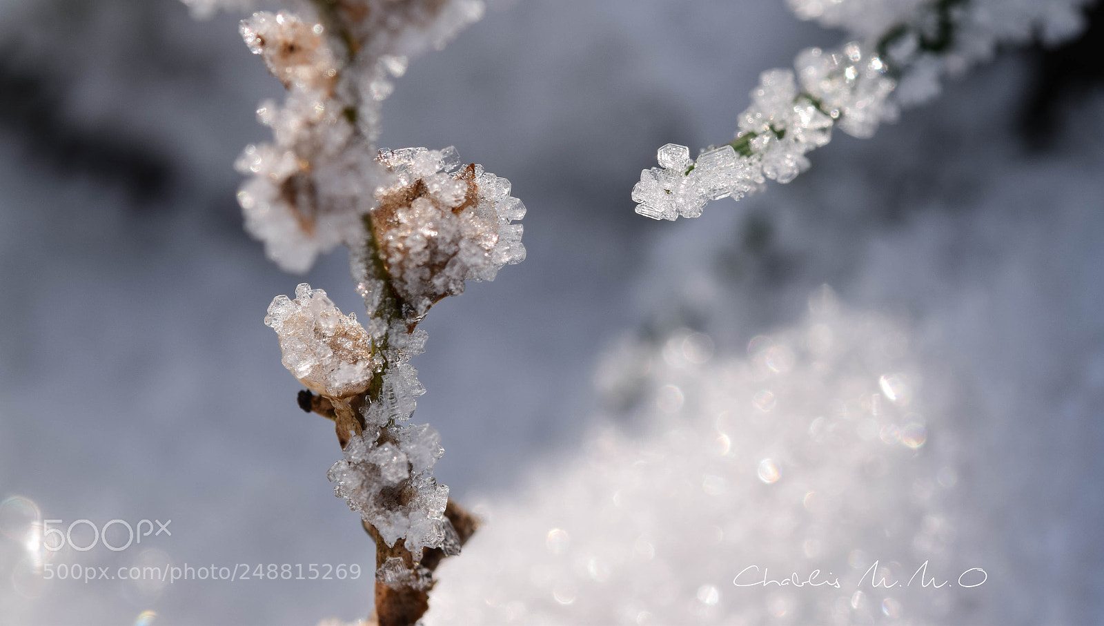 Nikon D3300 sample photo. 03-0032.jpg photography