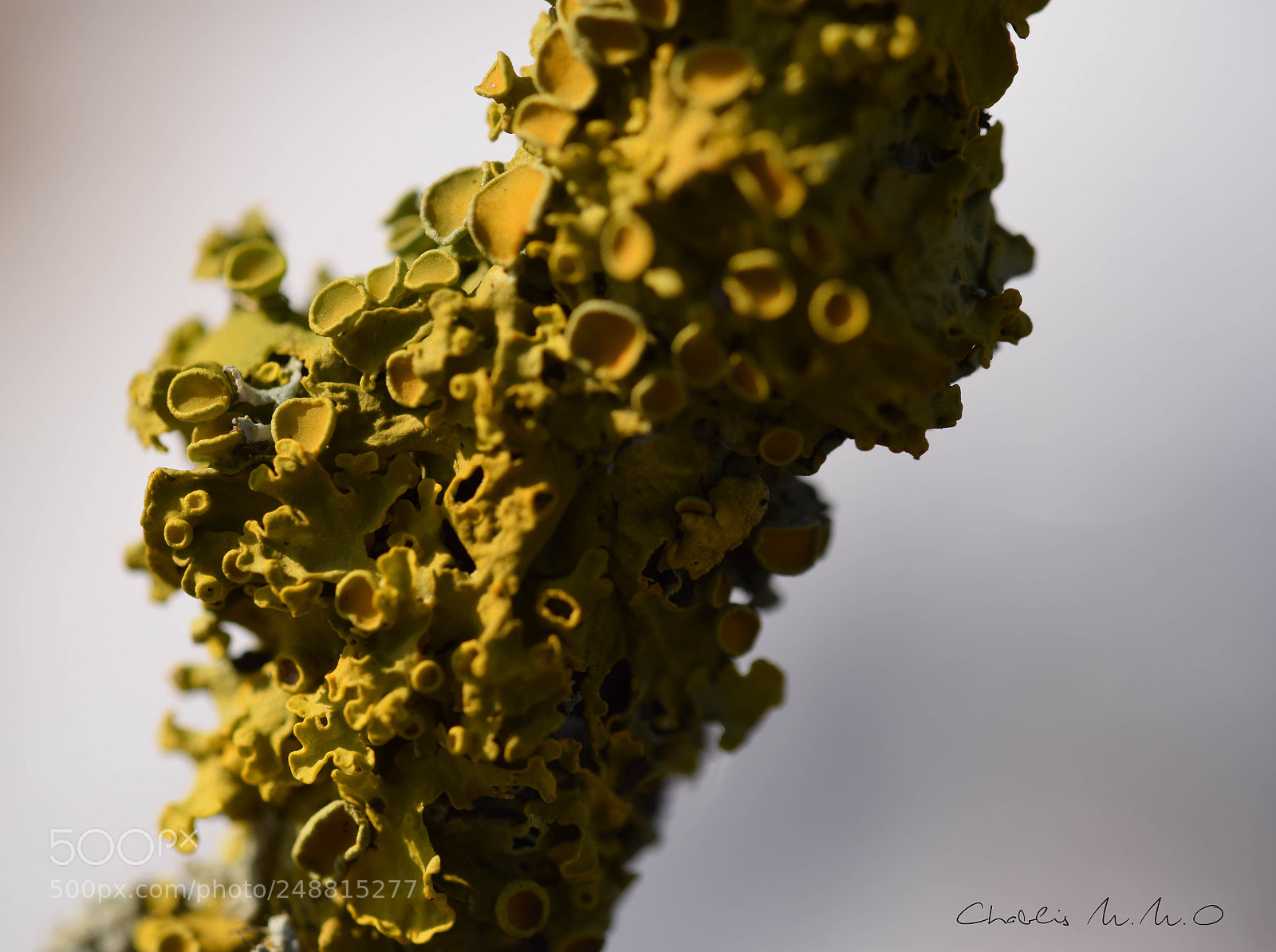 Nikon D3300 sample photo. 03-0136.jpg photography