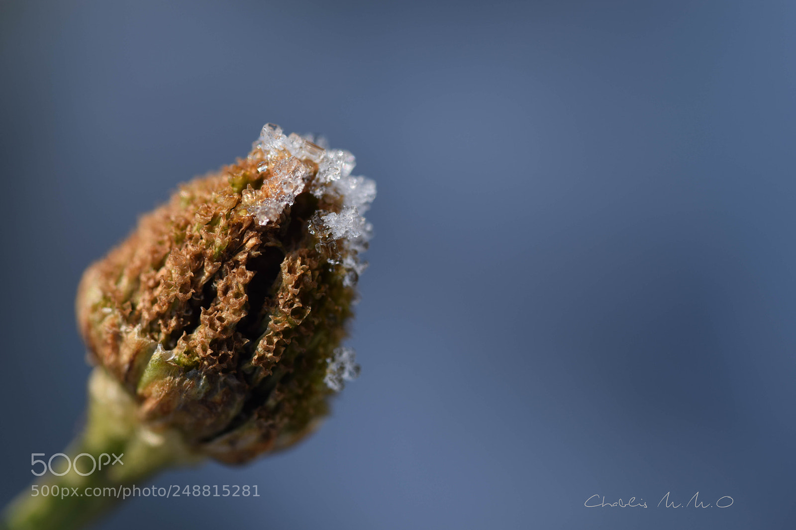 Nikon D3300 sample photo. 03-0160.jpg photography