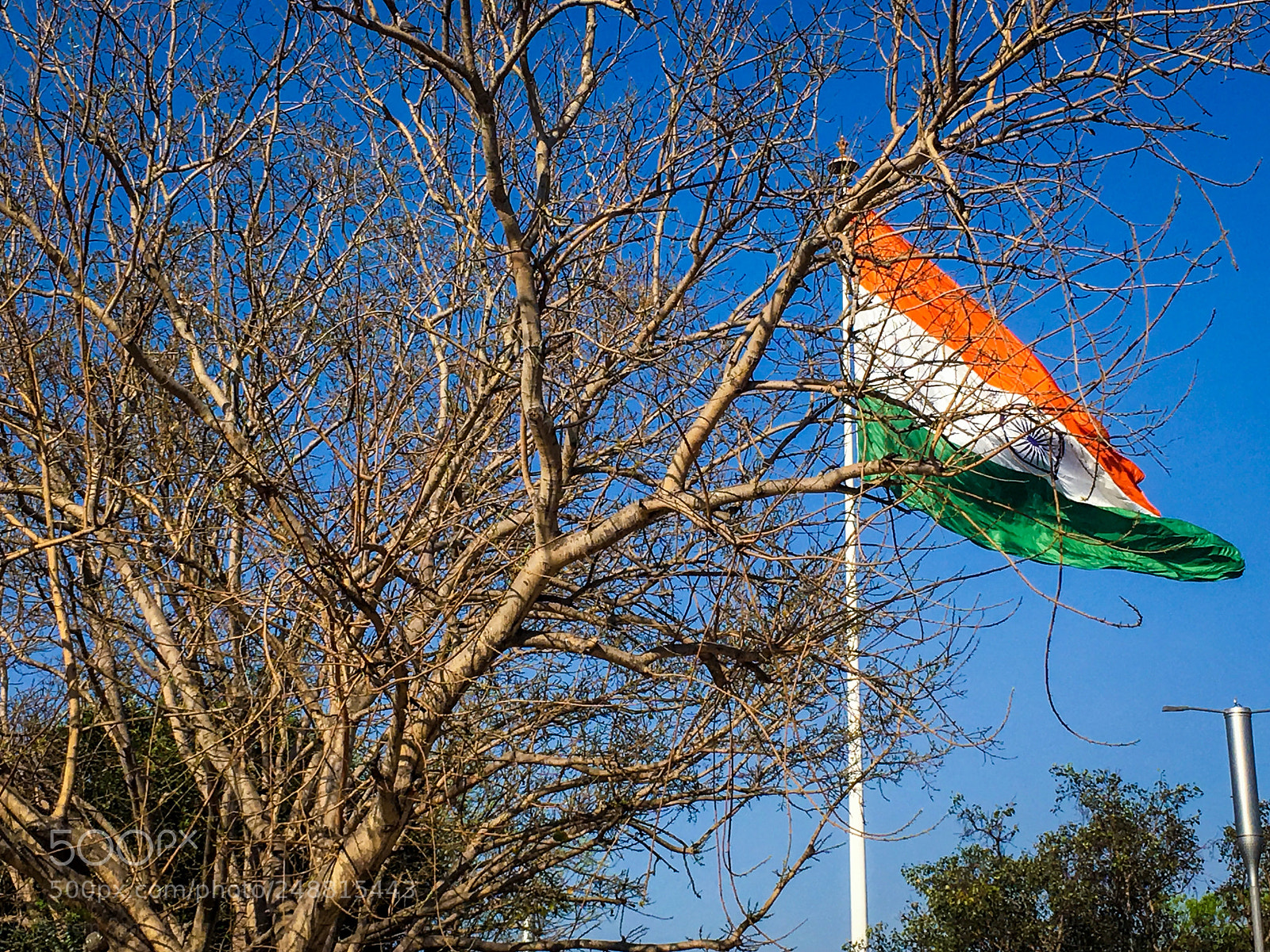 Apple iPhone 6s Plus sample photo. The indian pride photography