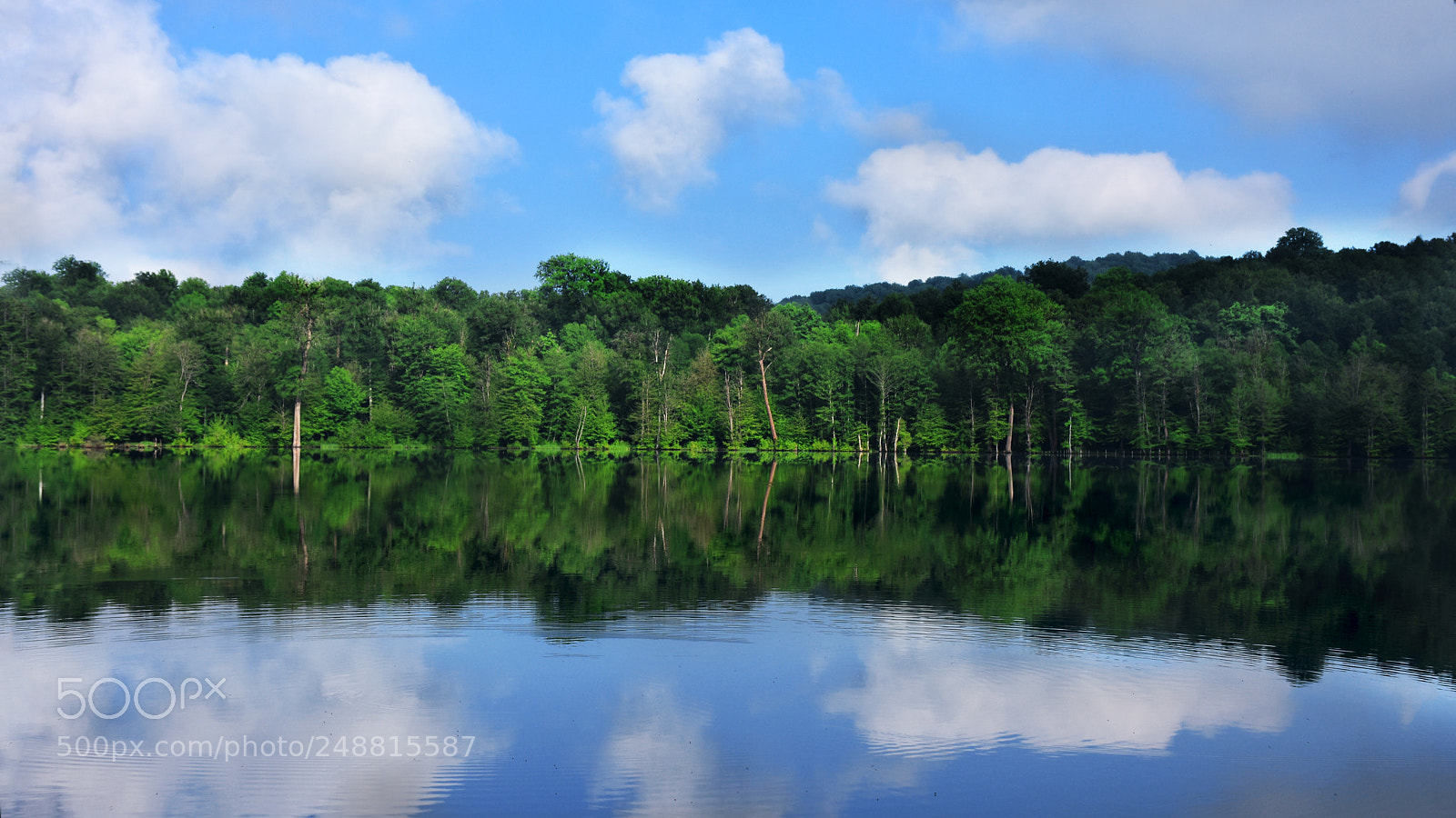 Nikon D7200 sample photo. ??? photography