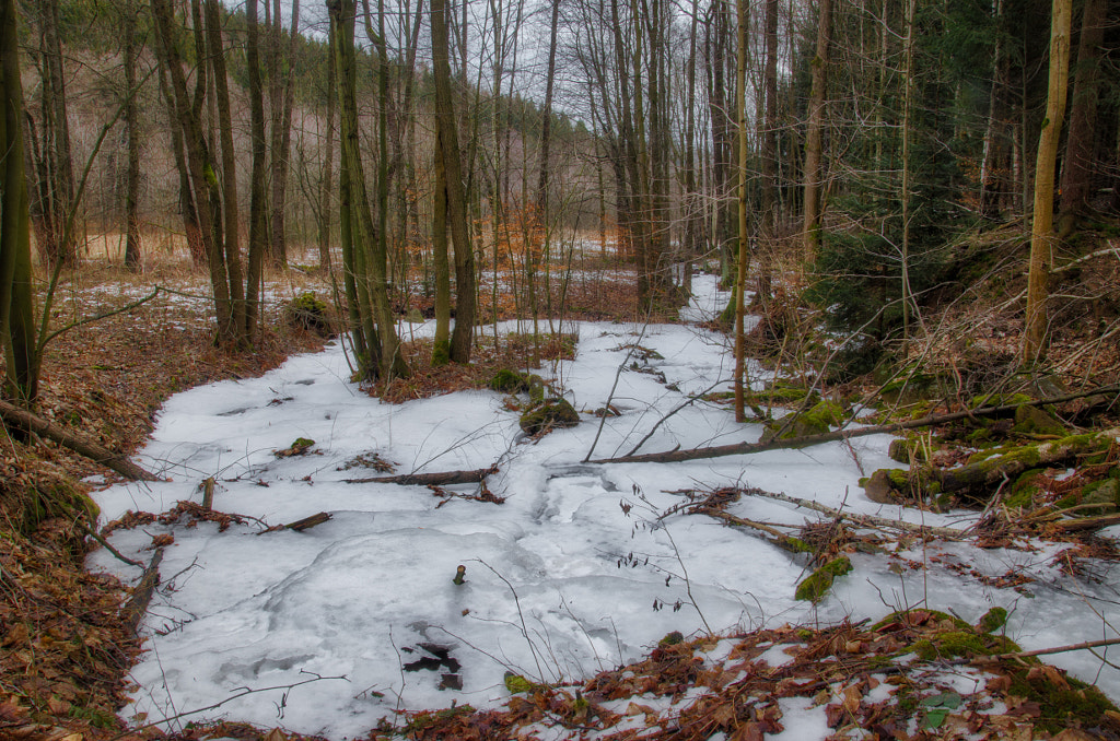 frosty von dirk derbaum auf 500px.com