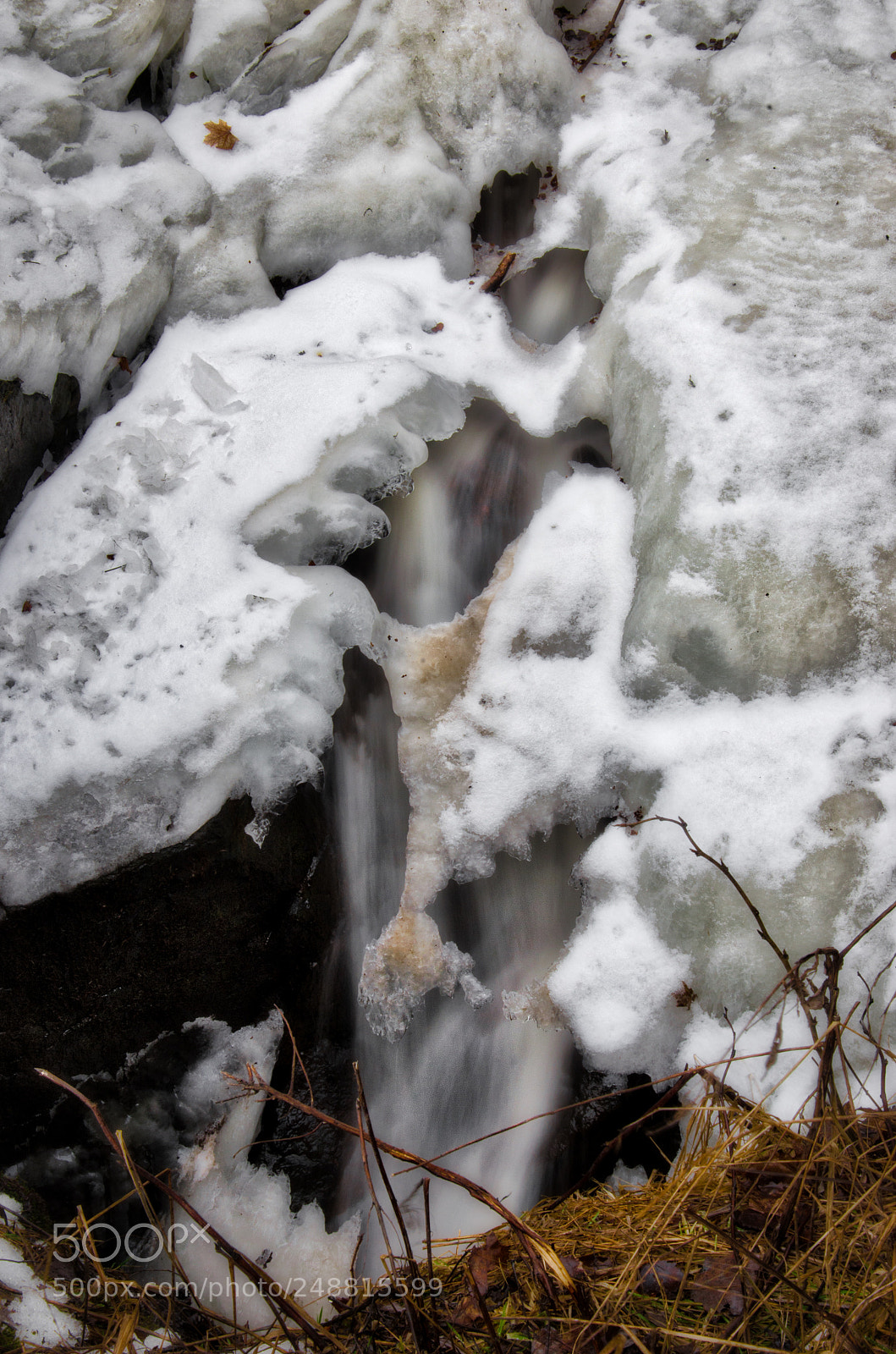 Nikon D5100 sample photo. Under thin ice photography