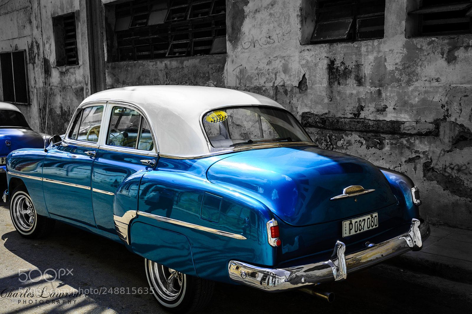 Nikon D7100 sample photo. Pretty in blue photography