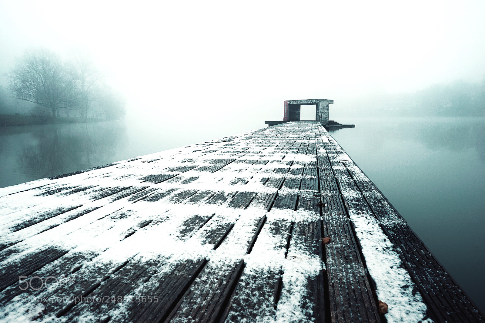Sony a7 II sample photo. The fog photography
