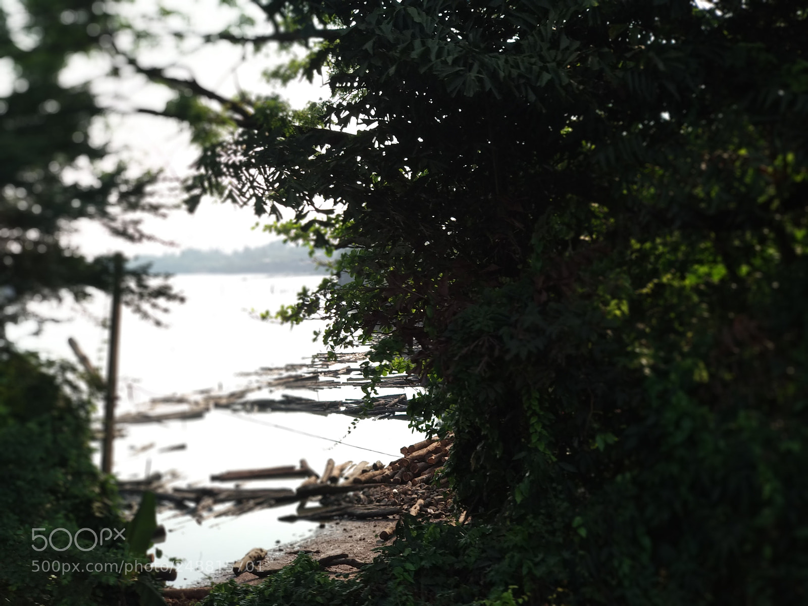 Xiaomi Mi A1 sample photo. Kallai river bank photography
