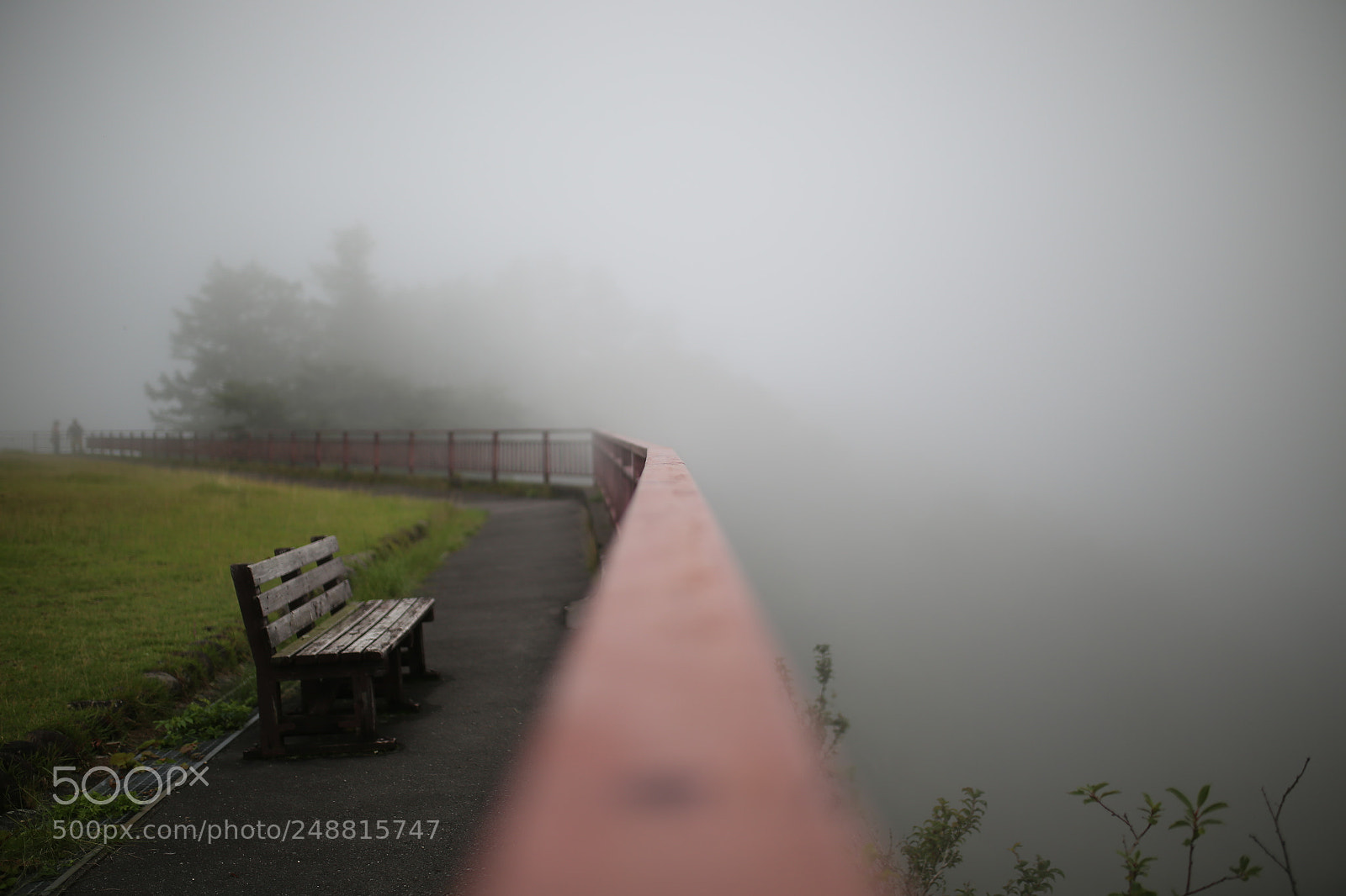 Sigma 35mm F1.4 DG HSM Art sample photo. Untitled photography