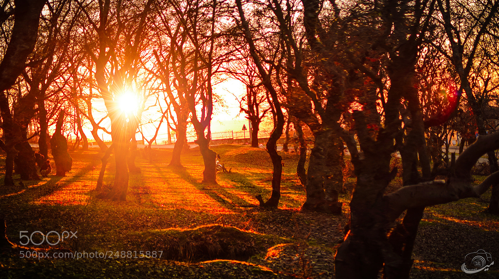 Nikon D5300 sample photo. It's over today photography