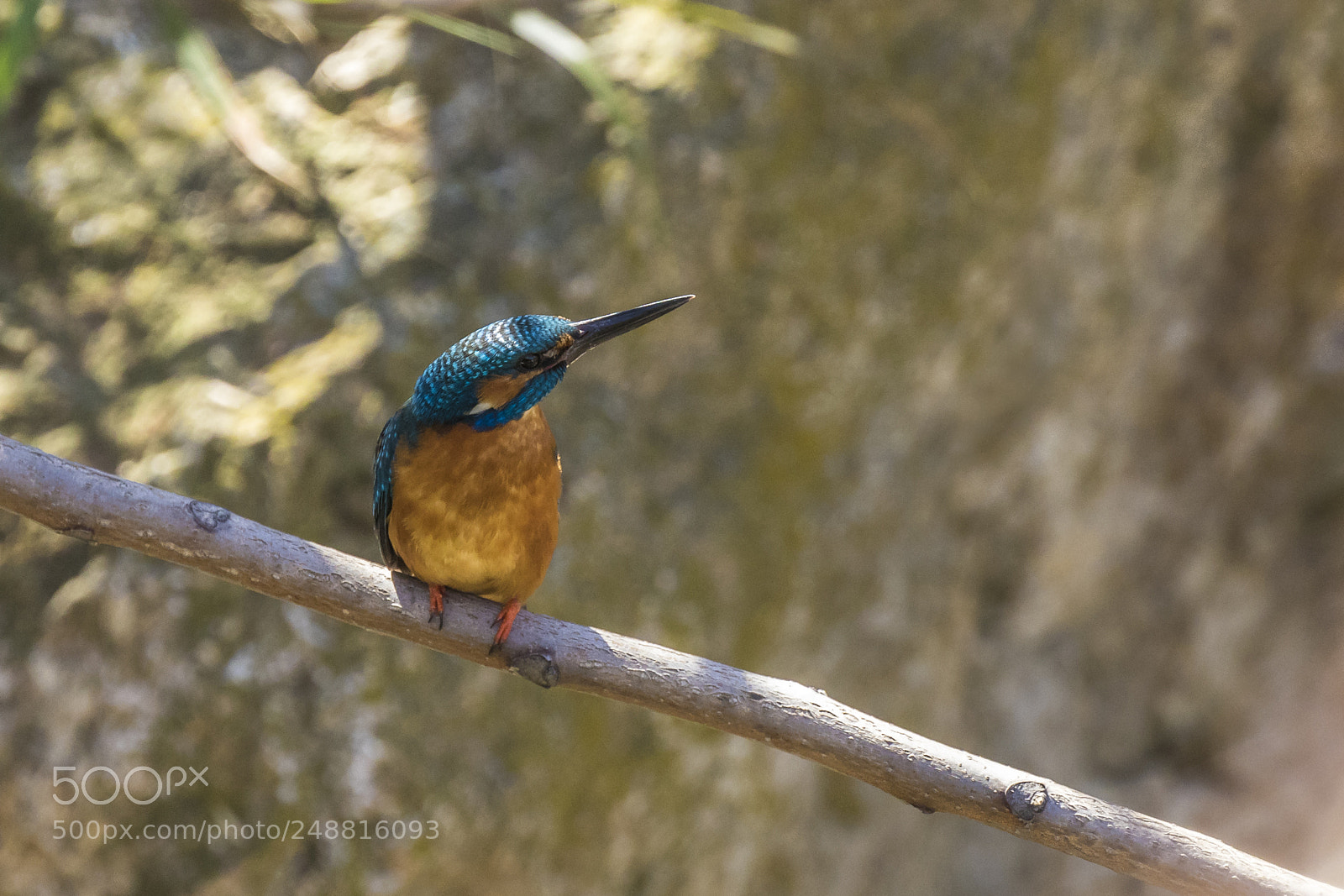 Canon EOS 7D Mark II sample photo. Colors in shadows photography