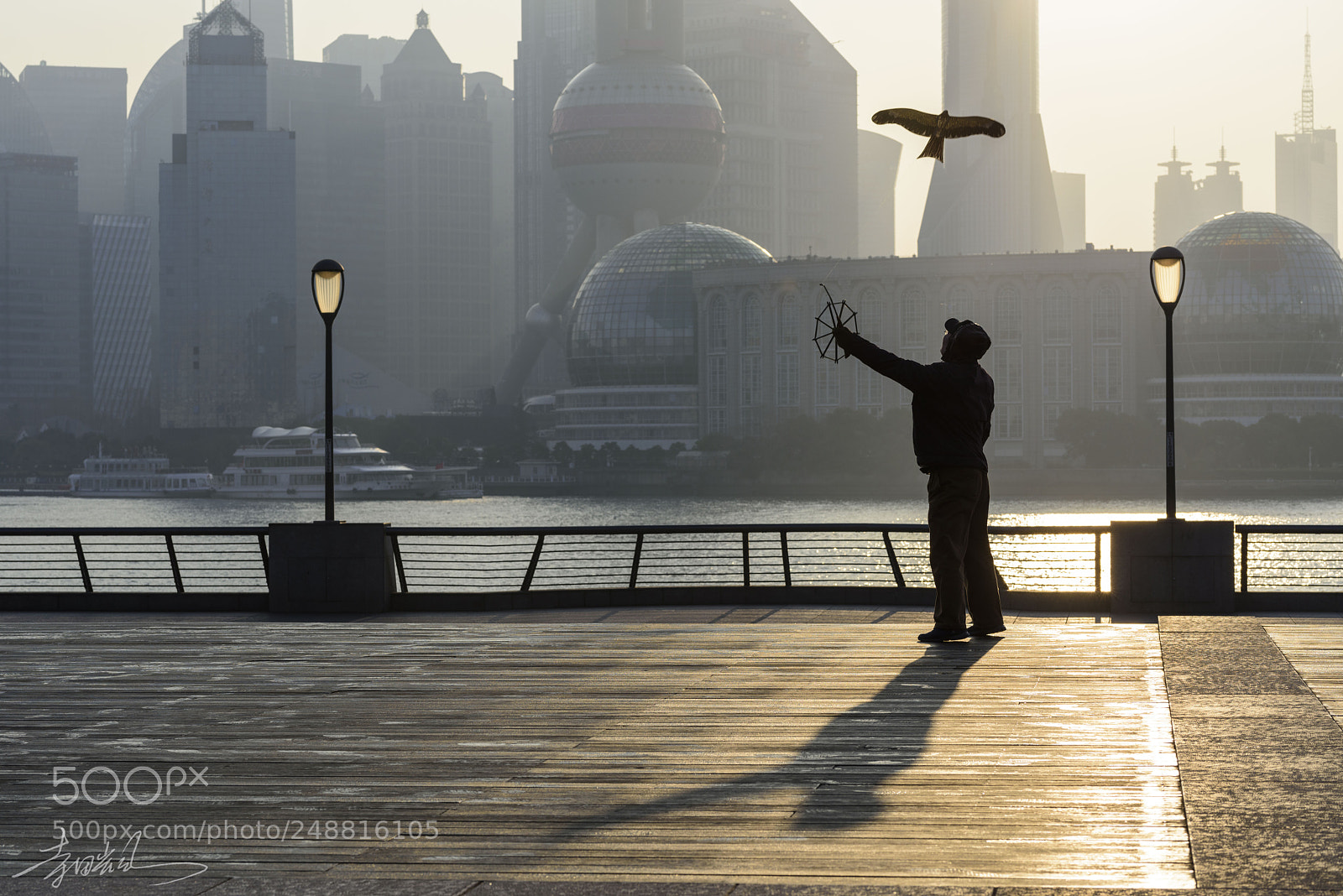 Nikon D810 sample photo. Shanghai street #9 - kite1 photography