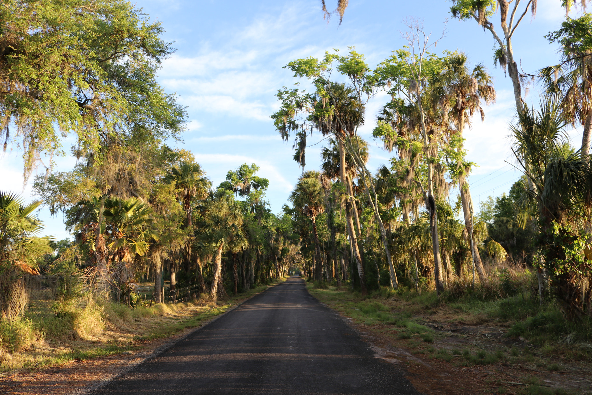 Canon EOS 80D sample photo. Long road home photography