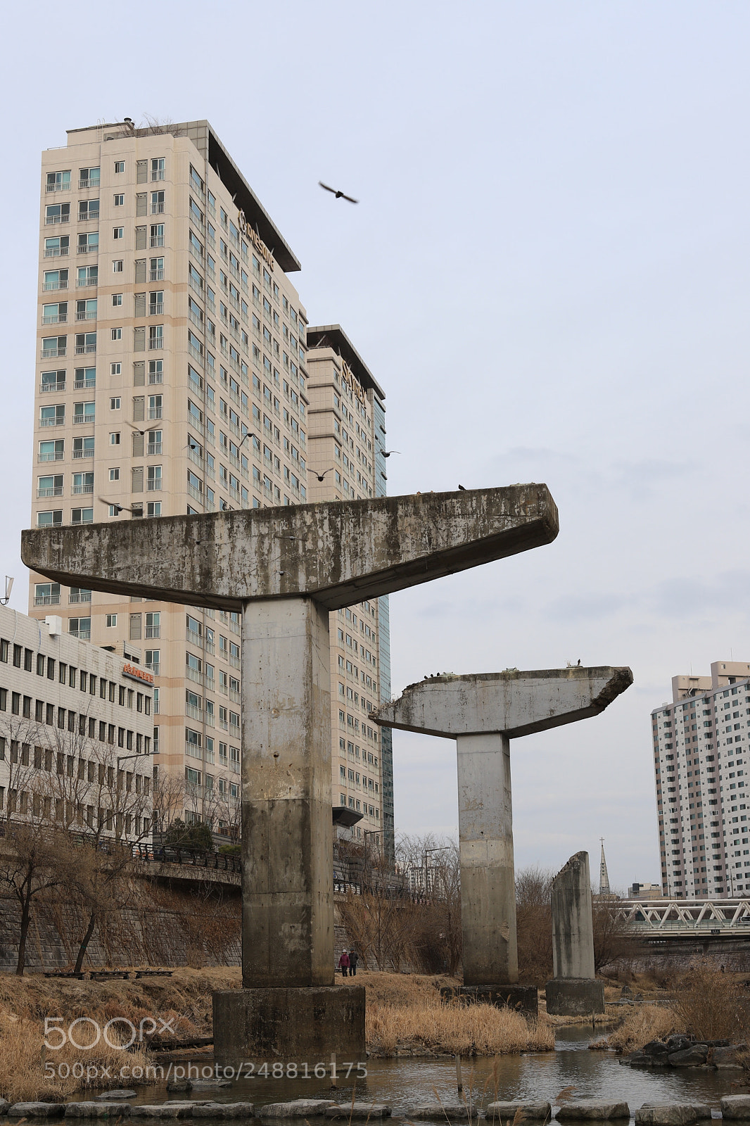 Canon EOS 6D Mark II sample photo. Urban renewal photography