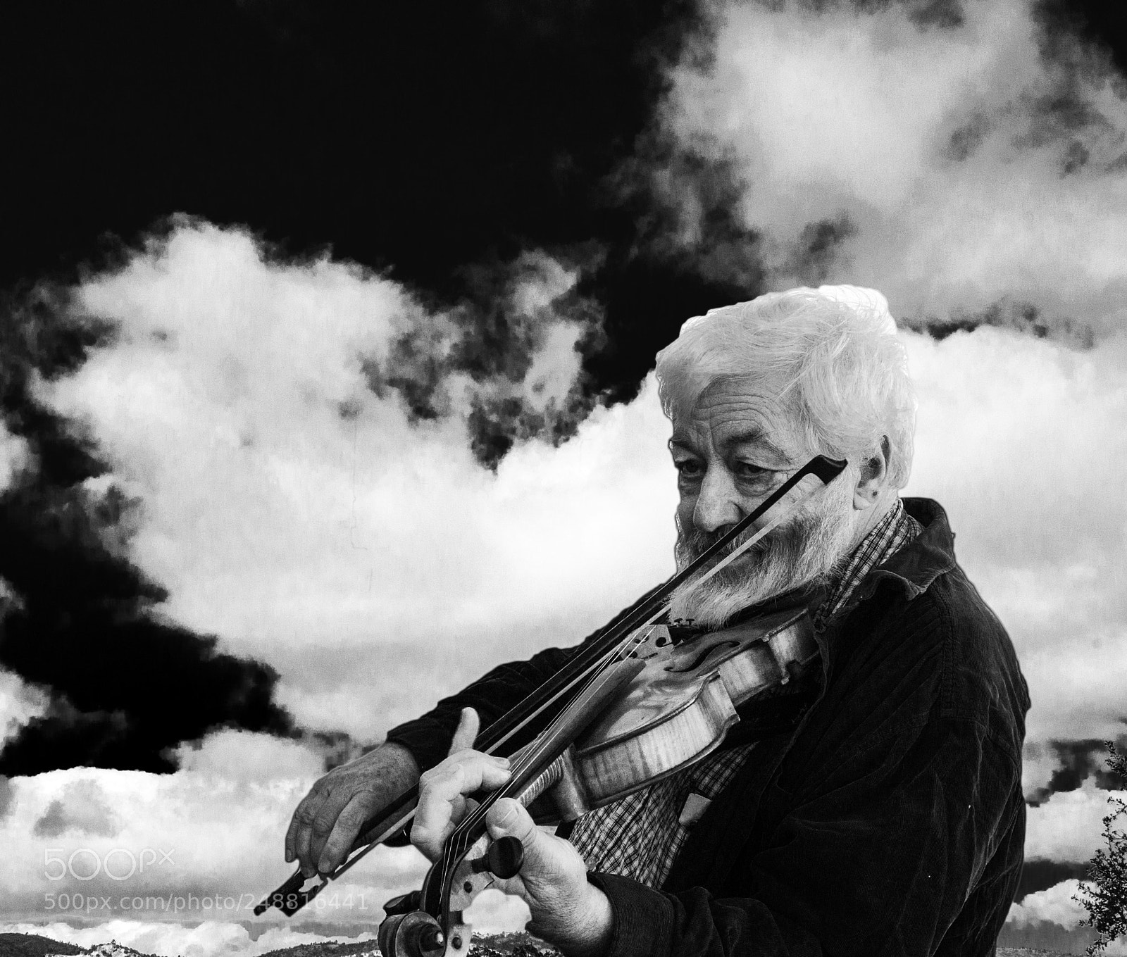 Nikon D3100 sample photo. Fiddle playerc photography