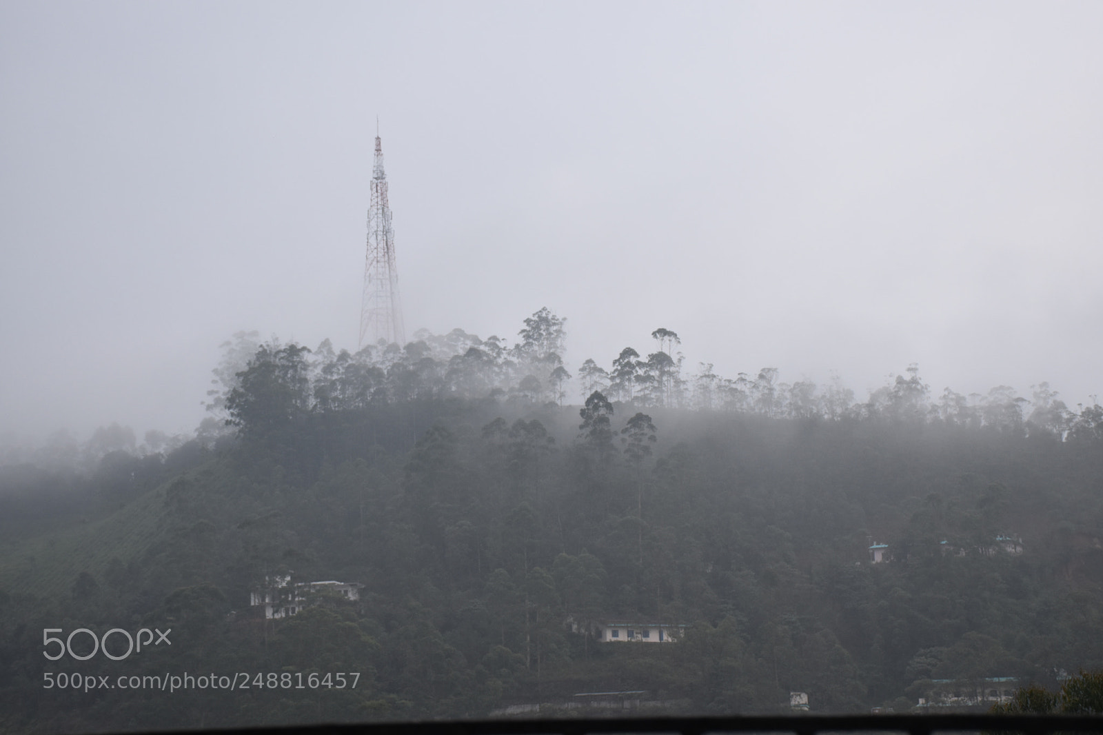 Nikon D5600 sample photo. Fog is my weakness photography