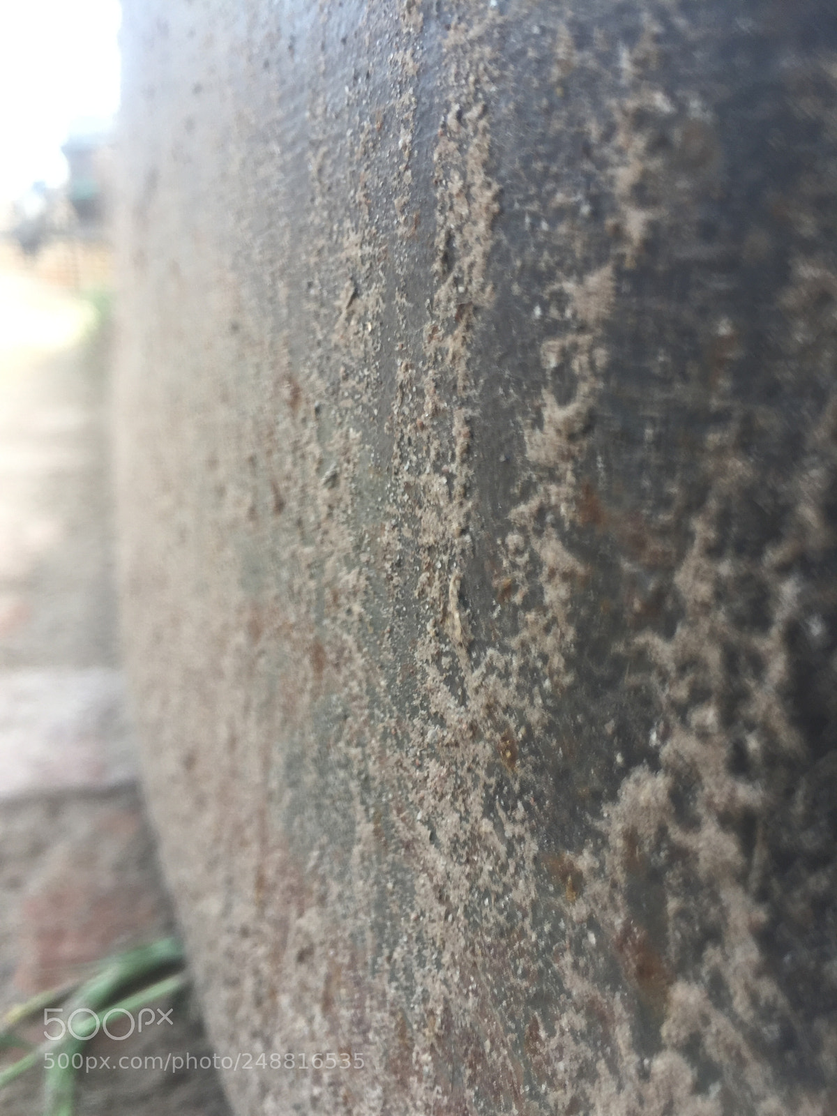 Apple iPhone 6 sample photo. Ece ceafa fbece photography